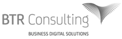 RIDYN BTR CONSULTING